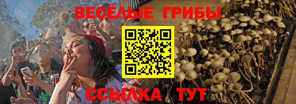 Псилоцибиновые грибы ЛСД  Вход с VPN  Алапаевск 